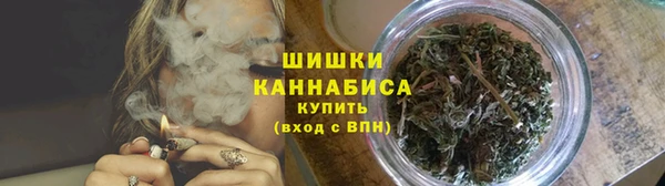 гидропоника Белокуриха
