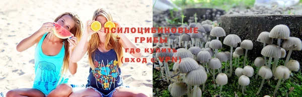 гидропоника Белокуриха