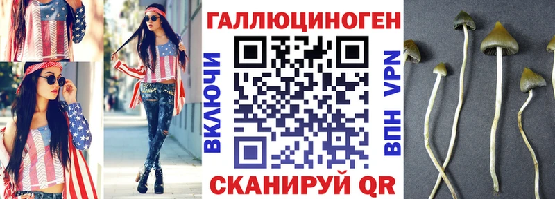 Псилоцибиновые грибы прущие грибы  Маркс 