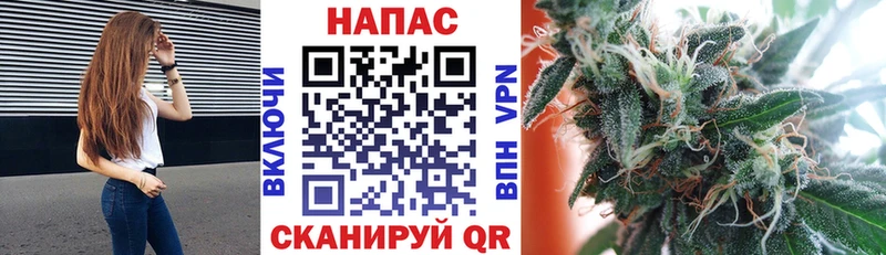 Конопля индика  сколько стоит  Маркс 